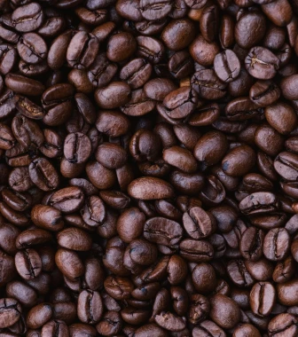 Kaffee Anbaugebiete & Herkunft