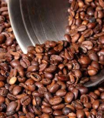 Liberica Kaffee